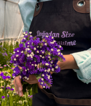 Resim Deniz Lavantası-Limonium siniuatum 1 demet