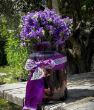 Deniz Lavantası-Limonium siniuatum 1 demet. ürün görseli