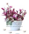 Pembe Telgraf Çiçeği (Tradescantia Nanouk) 2lt. ürün görseli